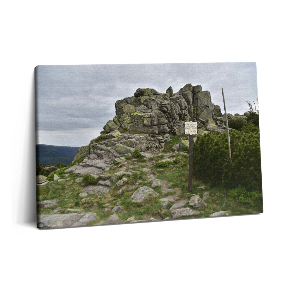 Obraz na plátne 60x40 Trasa v Krkonošiach