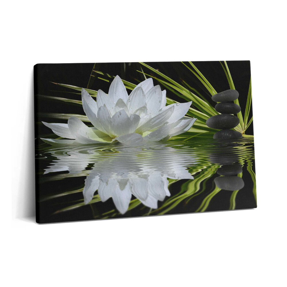 Obraz na plátne 60x40 Lekná a listy