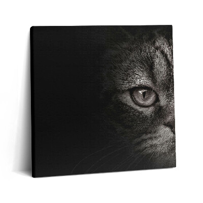 Fotoobraz na plátne 60x60 Oko mačky v tme