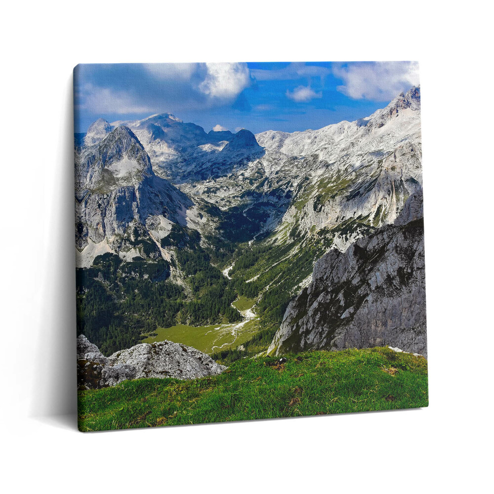 Obraz na plátne 60x60 Horské údolie pod modrou oblohou