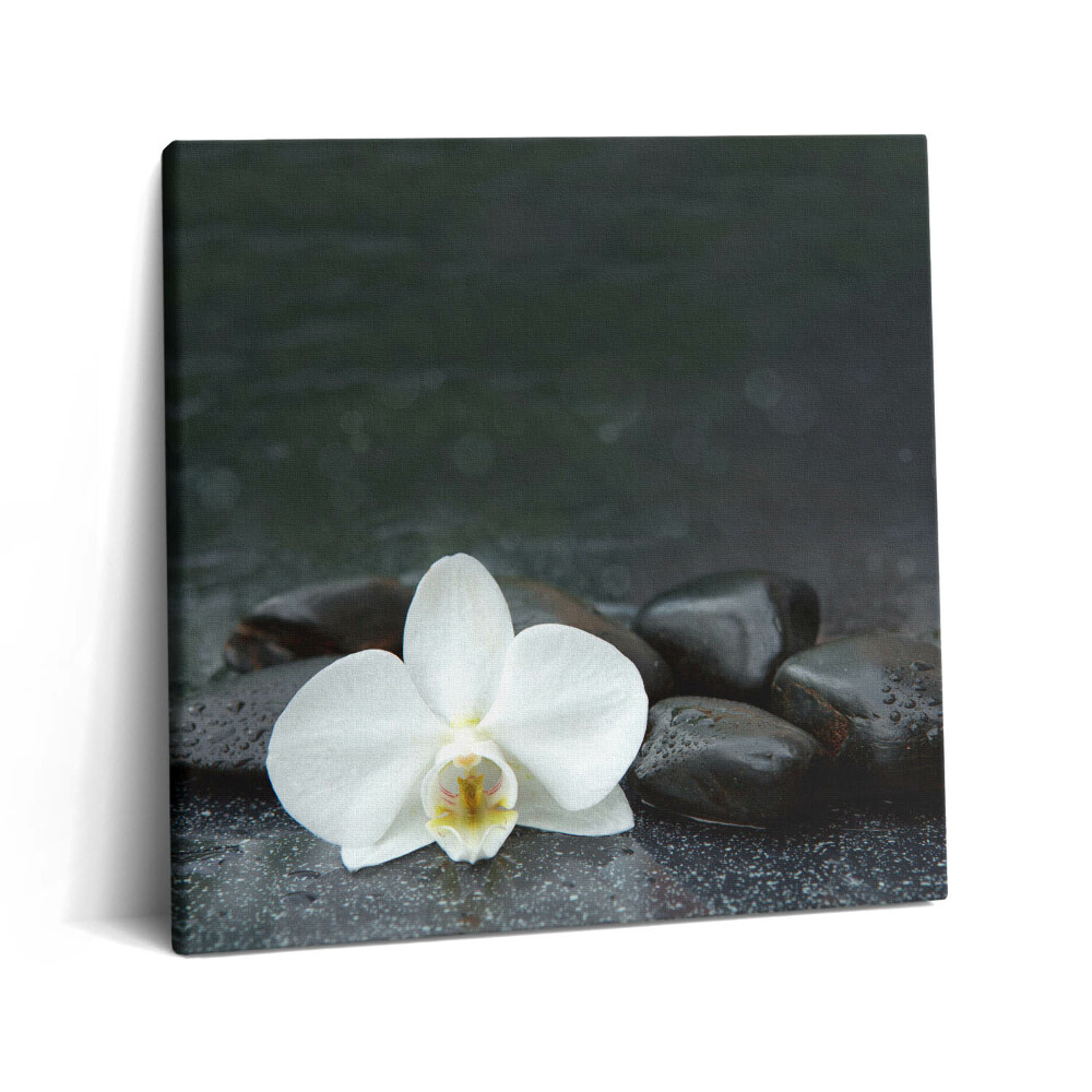 Fotoobraz na plátne 60x60 Orchidea a kamene v harmónii