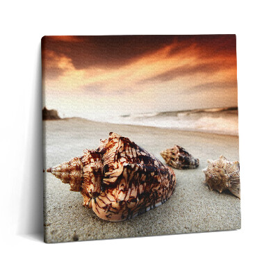 Fotoobraz na plátne 60x60 Mušle na pláži pri západe slnka