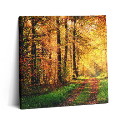 Fotoobraz na plátne 60x60 Jesenná cesta v zlatom lese