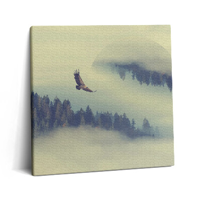 Fotoobraz na plátne 60x60 Orol nad hmlistým lesom