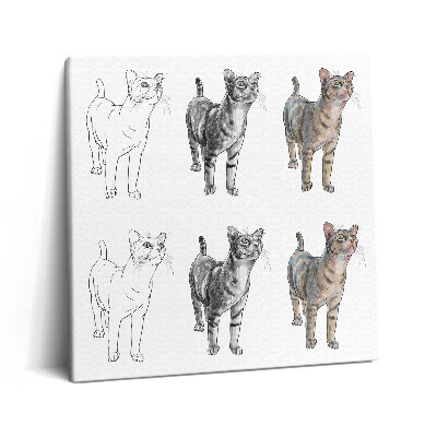 Obraz na plátne 60x60 Mačky v troch fázach farby