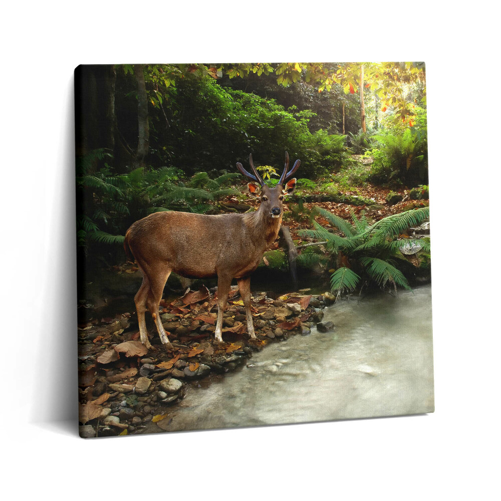 Fotoobraz na plátne 60x60 Jeleň pri lesnom potoku