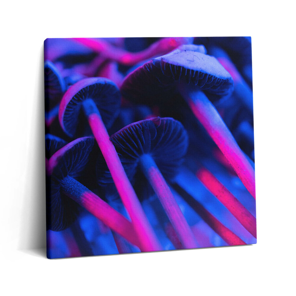 Fotoobraz na plátne 60x60 Svetelný tanec húb v modrom