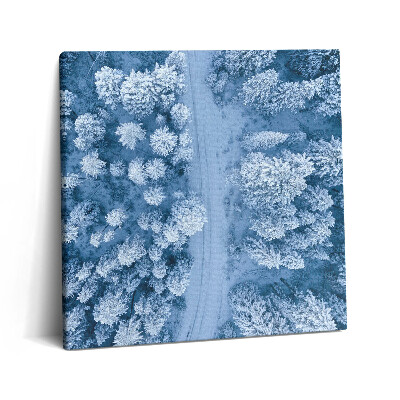 Fotoobraz na plátne 60x60 Zimná cesta medzi stromami