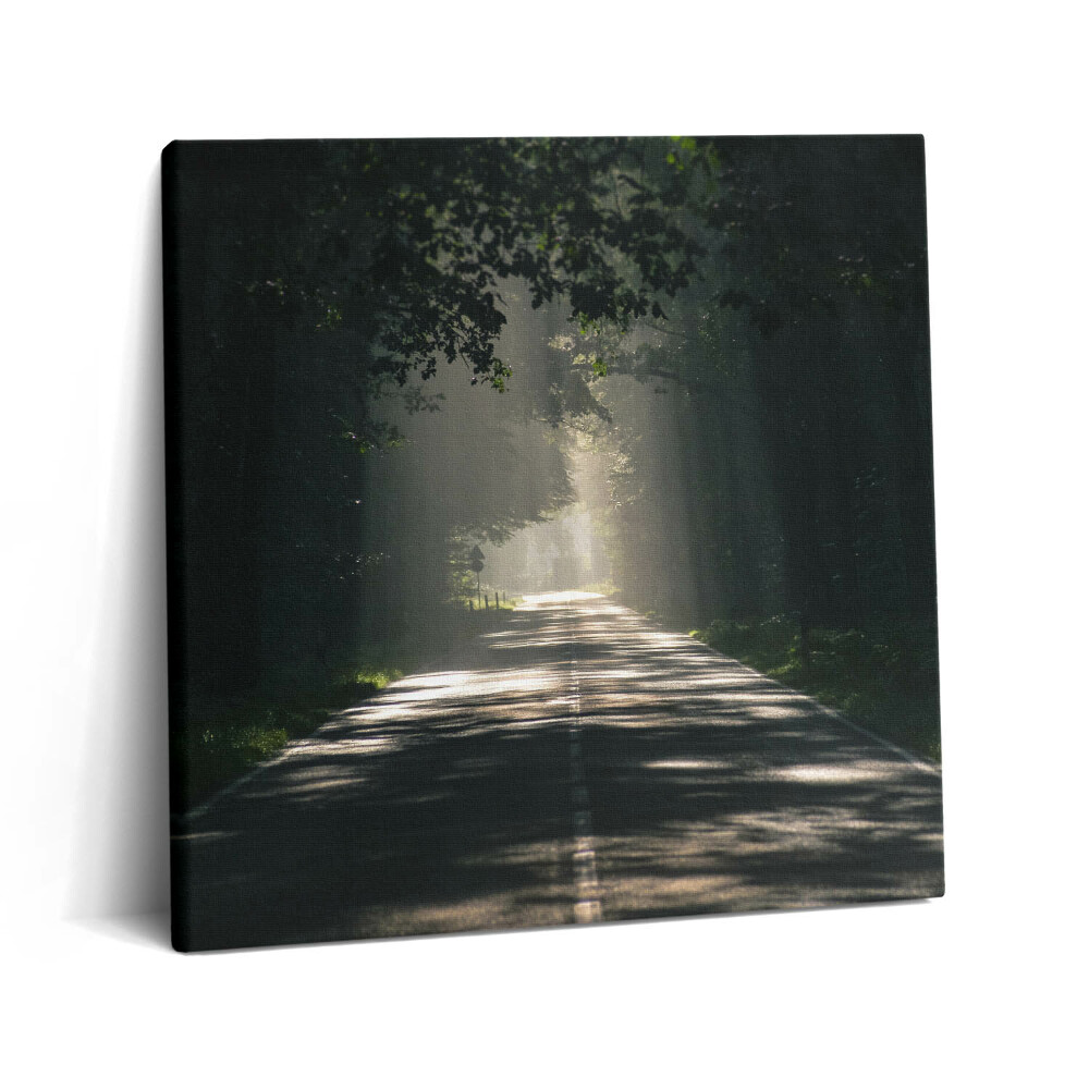 Obraz na plátne 60x60 Cesta v lese pod svetlom