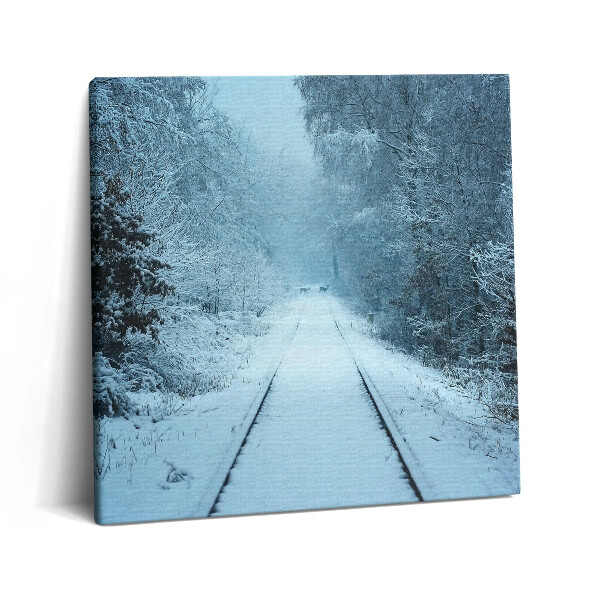 Obraz na plátne 60x60 Zasnežená cesta cez les