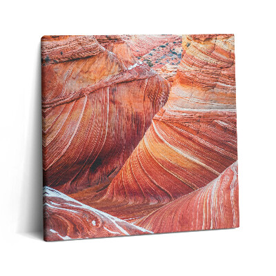 Fotoobraz na plátne 60x60 Vlny pouštního kaňonu
