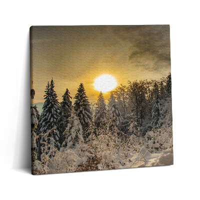 Fotoobraz na plátne 60x60 Zimný les pri západe slnka