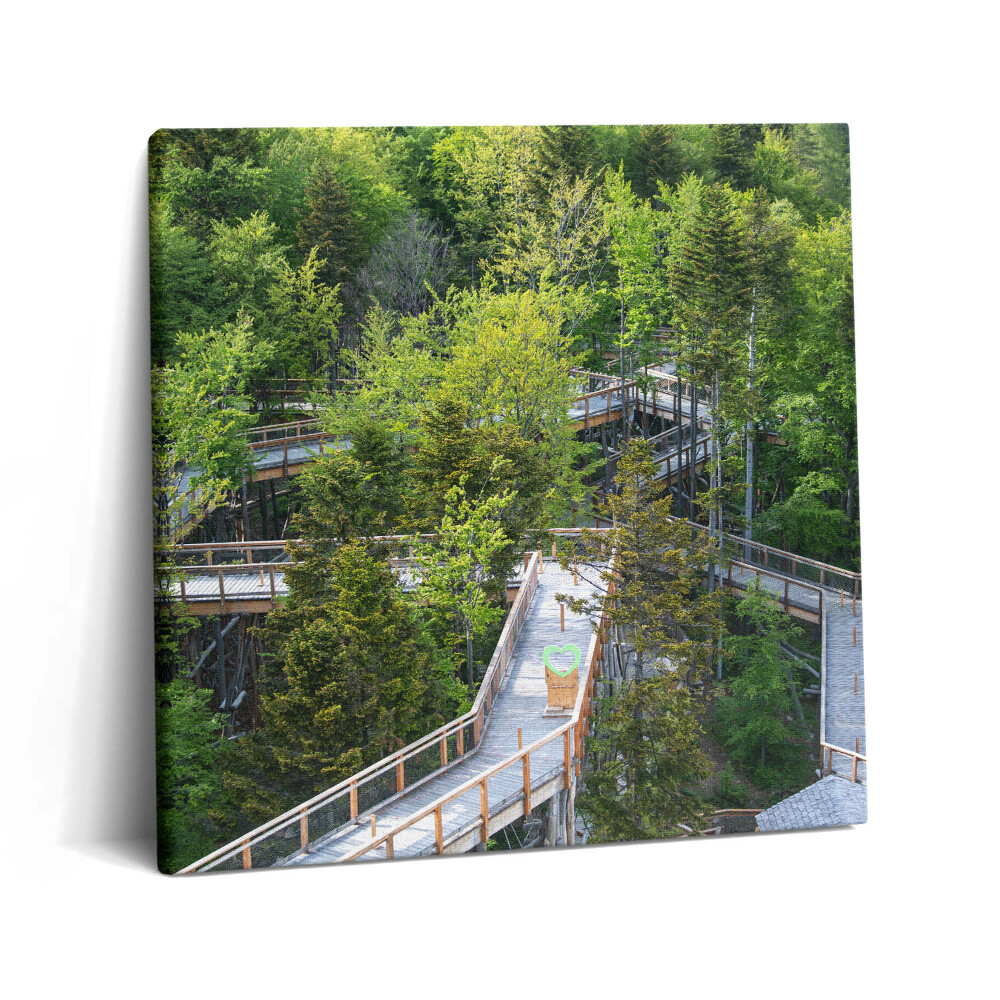 Obraz na plátne 60x60 Lesná cesta v korunách stromov