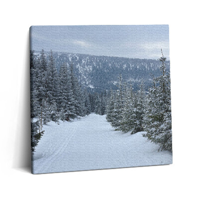 Obraz na plátne 60x60 Zasnežená lesná cesta v horách