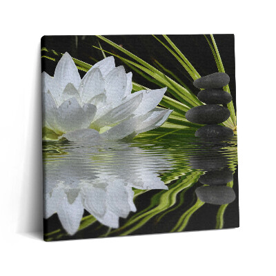 Fotoobraz na plátne 60x60 Lotus a kamene pri jazere