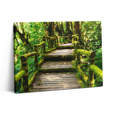 Fotoobraz na plátne 80x60 Drevená lávka - agroturistika