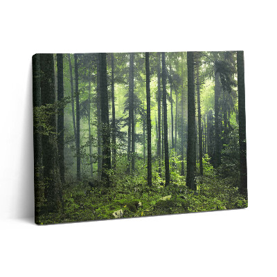 Obraz na plátne 80x60 Krajina stromov a lesnej vegetácie