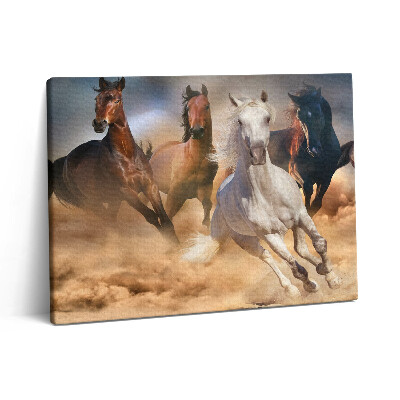Fotoobraz na plátne 80x60 Kone sa rútia cvalom