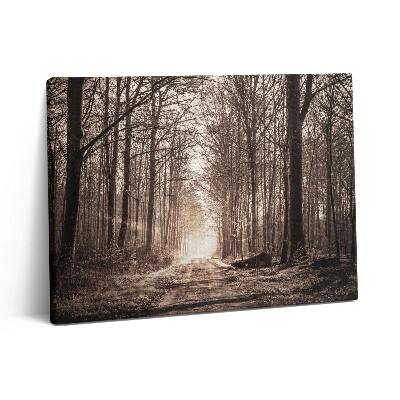 Obraz na plátne 80x60 Lesná cesta v sépiových tónoch