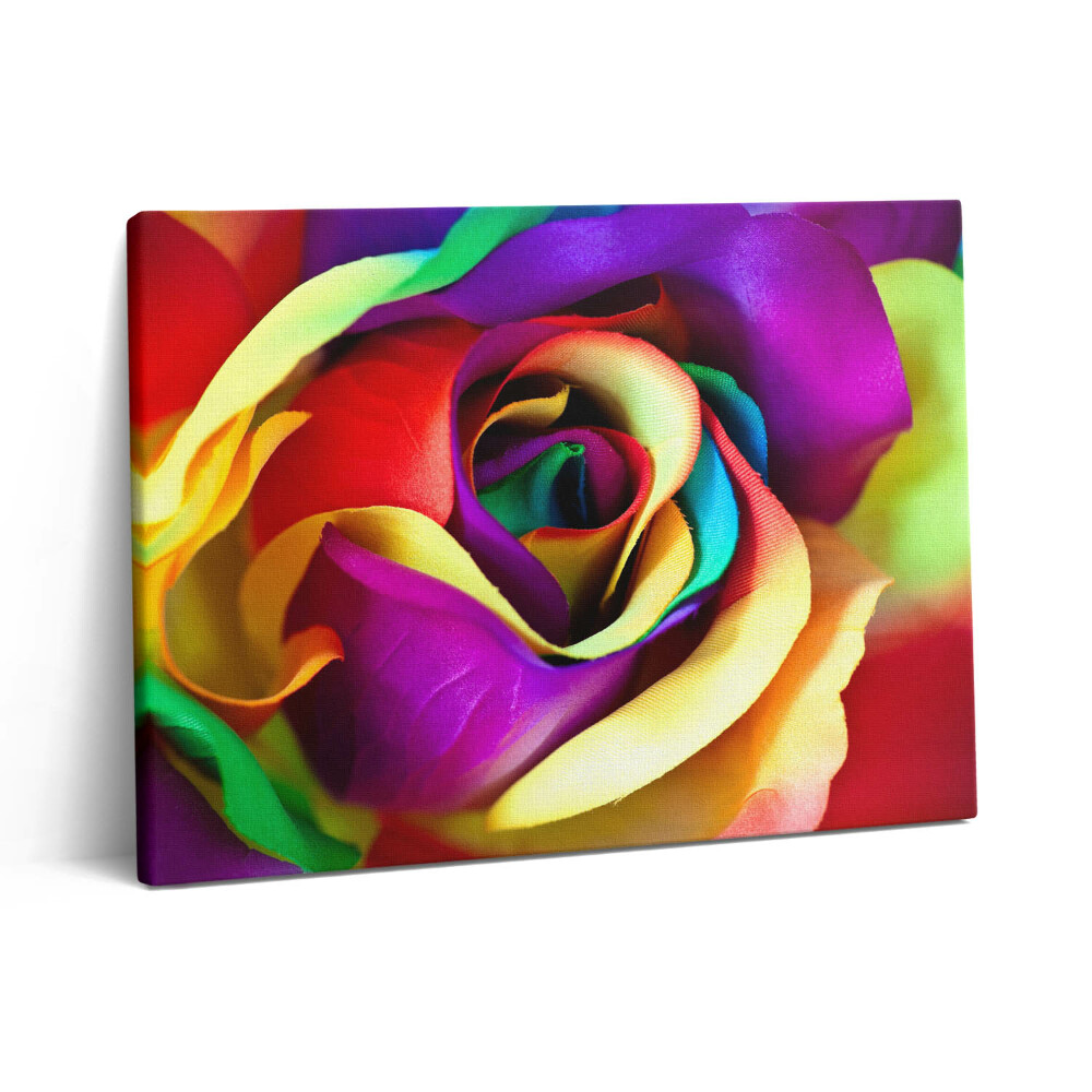Fotoobraz na plátne 80x60 Dúhová ruža