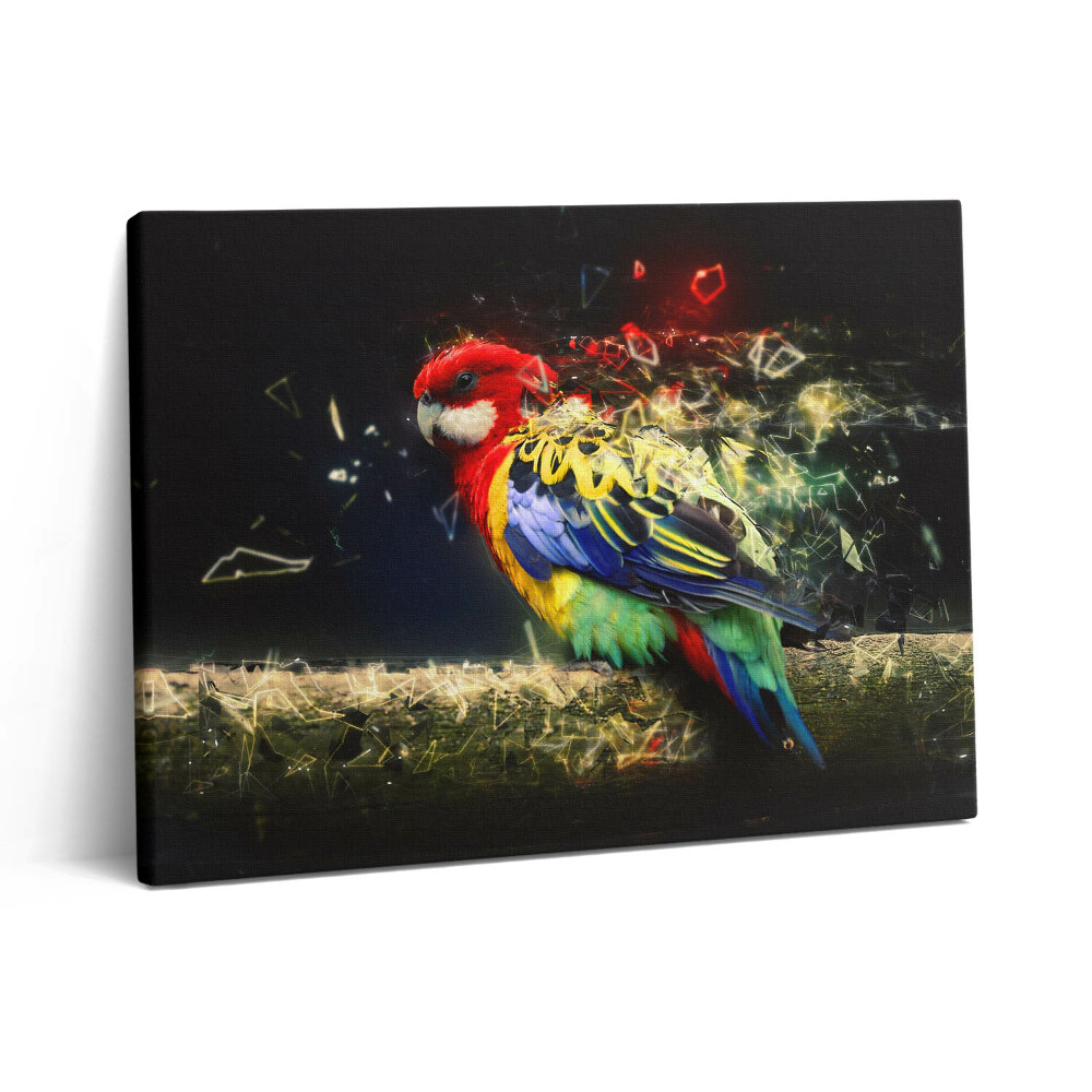 Fotoobraz na plátne 80x60 Abstrakcia papagája