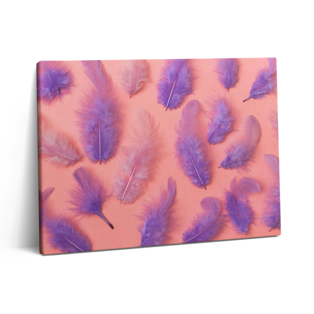 Fotoobraz na plátne 80x60 Farebné perie
