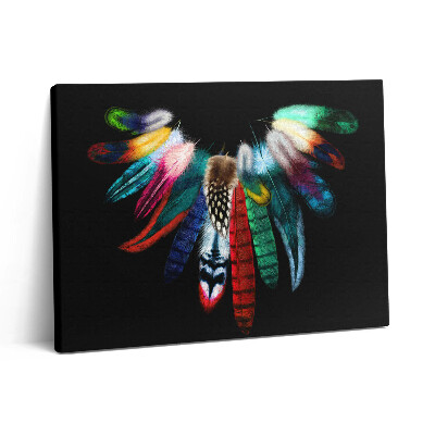 Fotoobraz na plátne 80x60 Farebné vtáčie perie