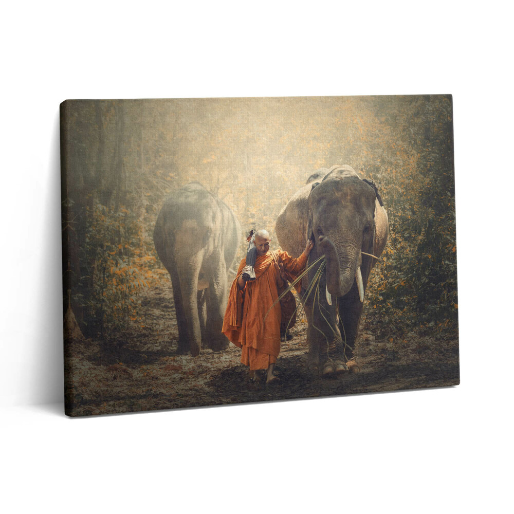 Fotoobraz na plátne 80x60 Mních a slony