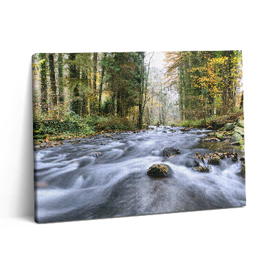 Obraz na plátne 80x60 Horský potok
