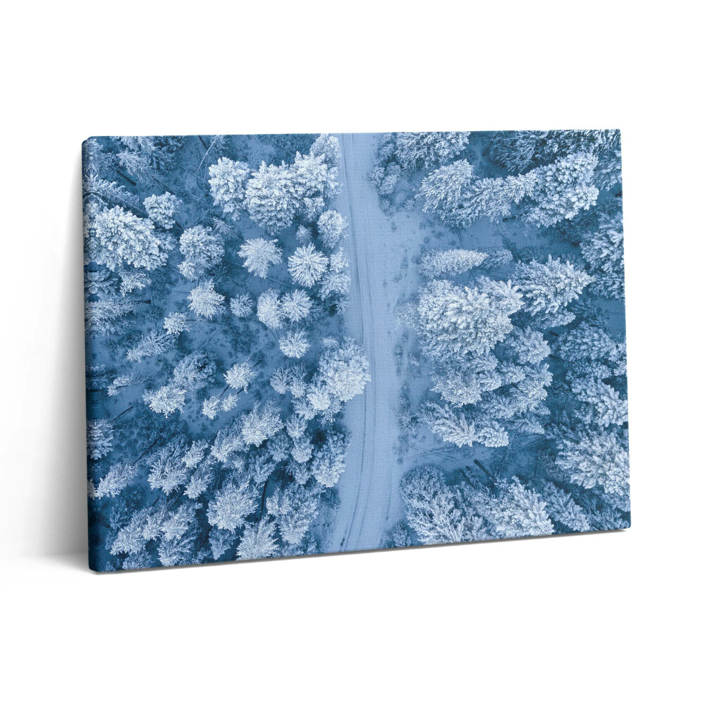 Fotoobraz na plátne 80x60 Les z vtáčej perspektívy. Drony