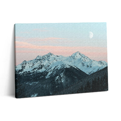 Fotoobraz na plátne 80x60 Pohorie v zime