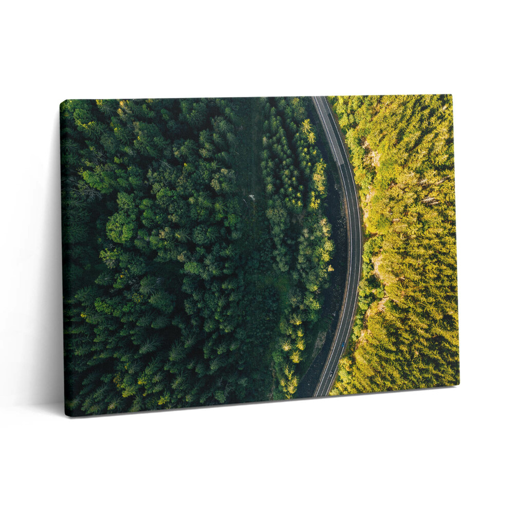 Fotoobraz na plátne 80x60 Les z dronu - hora Śnieżka