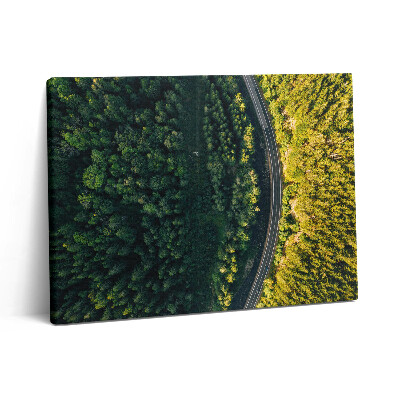 Fotoobraz na plátne 80x60 Les z dronu - hora Śnieżka