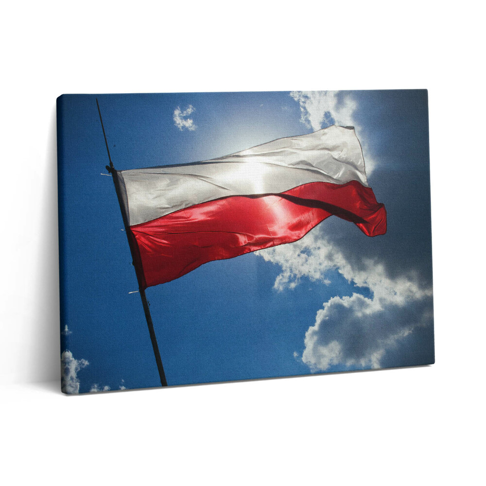 Obraz na plátne 80x60 Poľská vlajka na oblohe