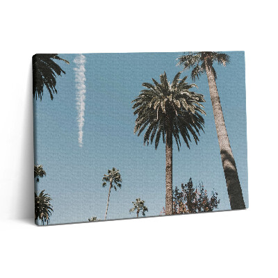 Fotoobraz na plátne 80x60 Palmy v Los Angeles