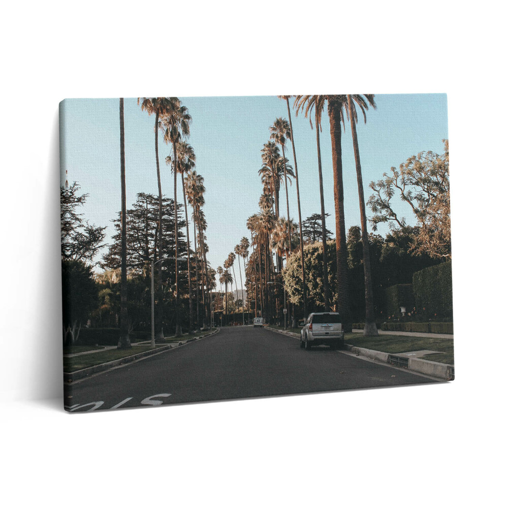 Fotoobraz na plátne 80x60 Vozidlo na ceste medzi stromami