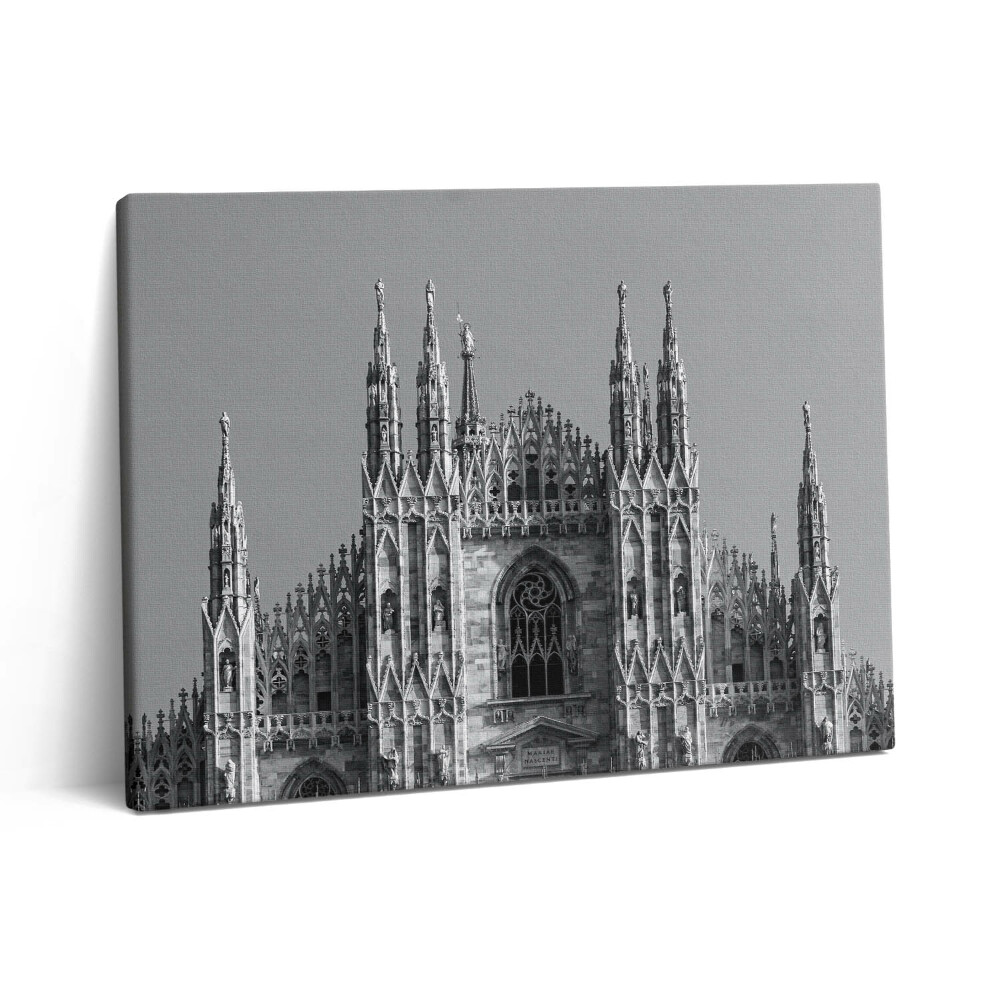 Fotoobraz na plátne 80x60 Katedrála Duomo di Milano v Ríme