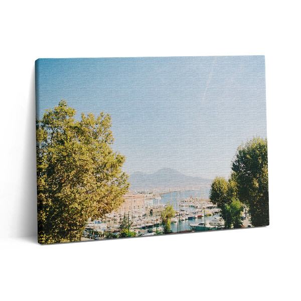 Obraz na plátne 80x60 Zelené stromy v Neapole