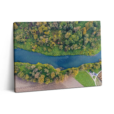 Obraz na plátne 80x60 Osýpky v Českej republike