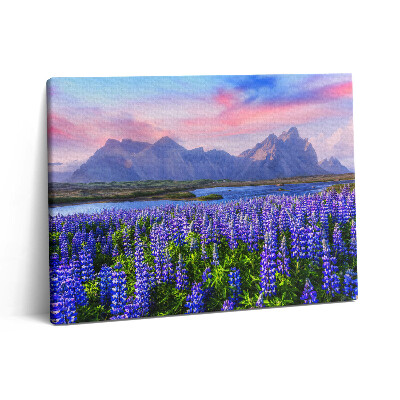 Fotoobraz na plátne 80x60 Levanduľové polia - Island