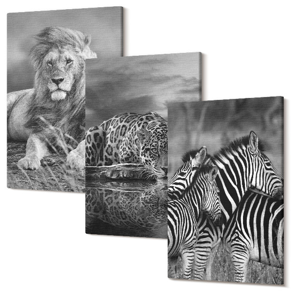 Sada obrazov triptych Divoké zvieratá savany: lev, jaguár a zebra
