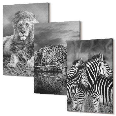 Sada obrazov triptych Divoké zvieratá savany: lev, jaguár a zebra