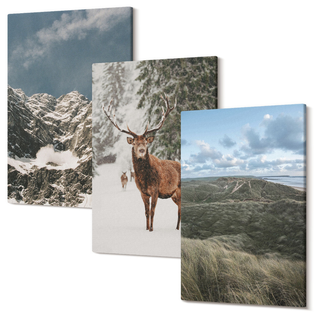 Sada obrazov triptych Hory so snehom, jelene v lese, krajina