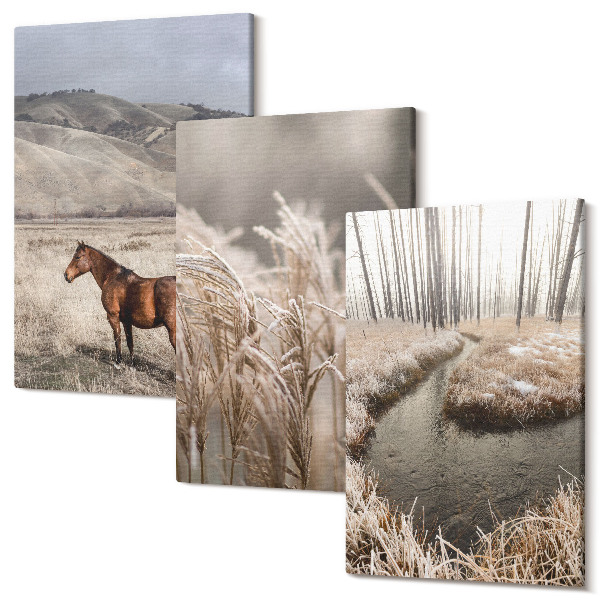 Sada obrazov na stenu triptych Kone v krajine tráv a zimného potoka