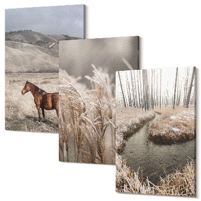 Sada obrazov na stenu triptych Kone v krajine tráv a zimného potoka