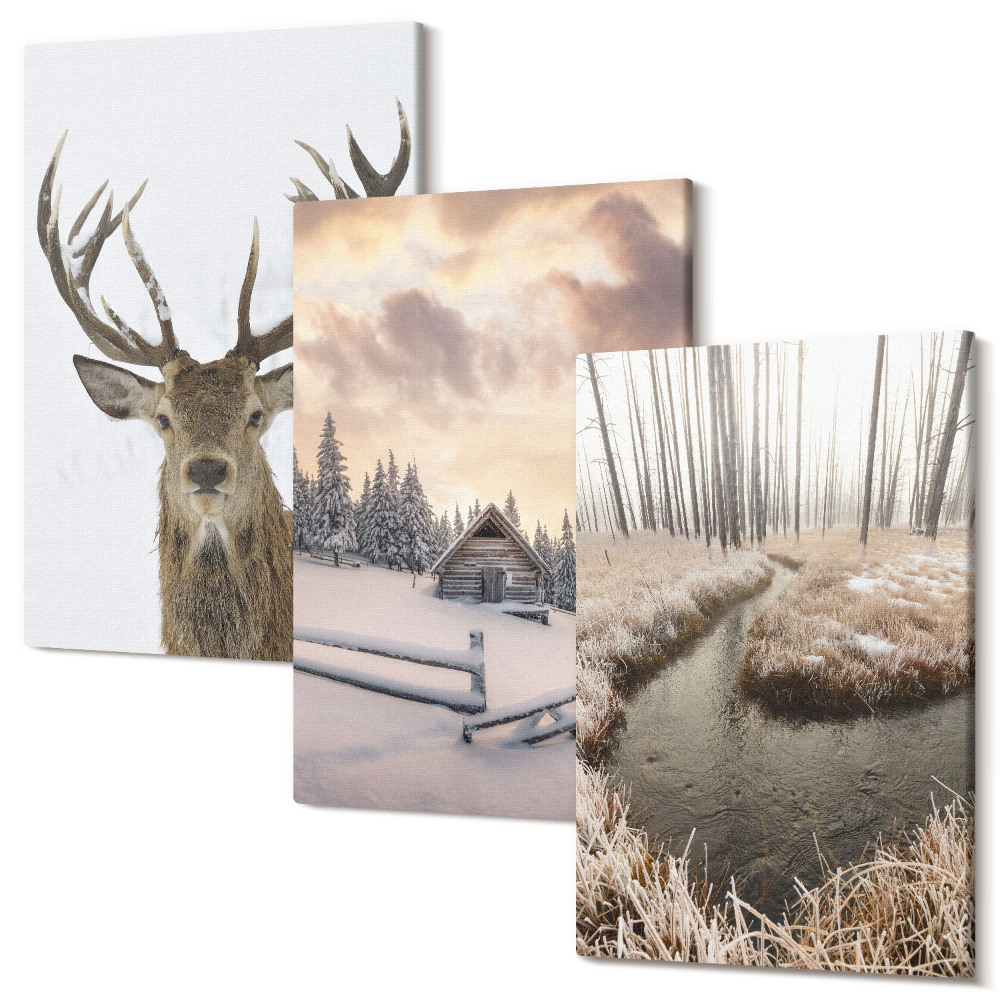 Sada obrazov na stenu triptych Zimná krajina s jeleňou búdou a potokom