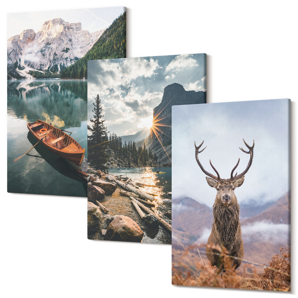 Sada 3 obrazov Horské jazero loď západ slnka jeleň v prírode