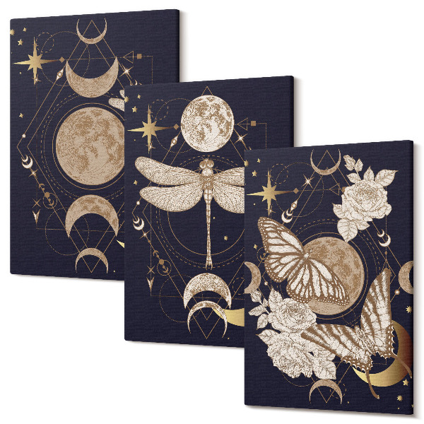 Sada 3 obrazov Prírodné motívy s mesiacom, vesmírom a kvetmi