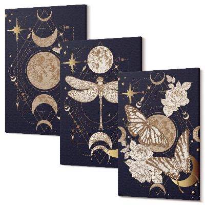 Sada 3 obrazov Prírodné motívy s mesiacom, vesmírom a kvetmi