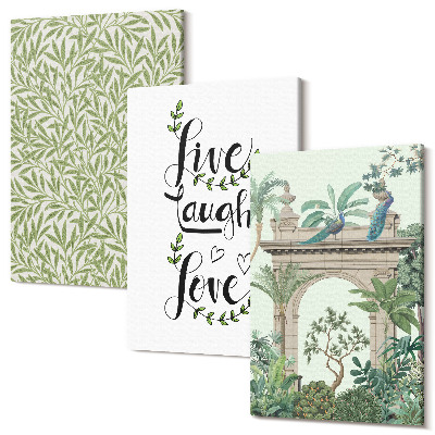 Sada obrazov triptych Zelené listy, nápisy a exotické rastliny v architektúre